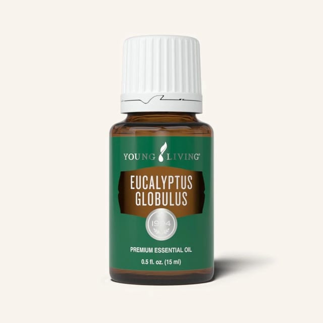 Eucalyptus Globulus Essential Oil Young Living.